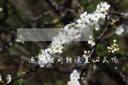 逾期时间能设置公式吗