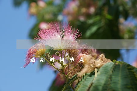 逾期时间节点 逾期时间节点