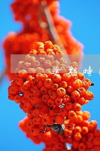 逾期时间计算方法 逾期时间计算方法