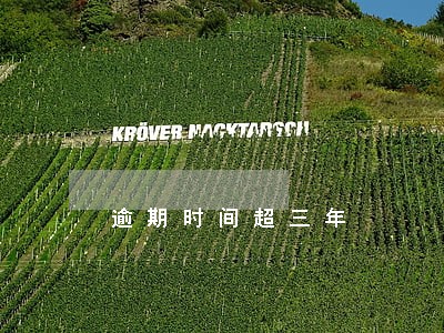 逾期时间超三年 逾期时间超三年