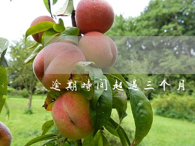 逾期时间超过三个月 逾期时间超过三个月