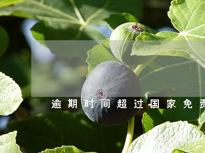 逾期时间超过国家免责期 逾期时间超过国家免责期