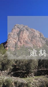 逾期时间超过我行规定期限 逾期时间超过我行规定期限