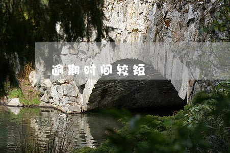 逾期时间较短 逾期时间较短