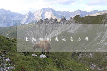 逾期时间过长会怎样