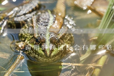 逾期时间过长会有哪些危害 逾期时间过长会有哪些危害