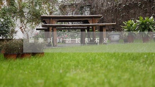 逾期时间过长但不是