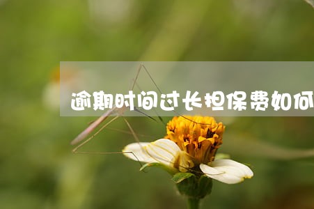 逾期时间过长担保费如何计算 逾期时间过长担保费如何计算