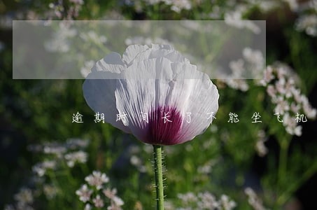 逾期时间长了不能坐飞机了吗 逾期时间长了不能坐飞机了吗