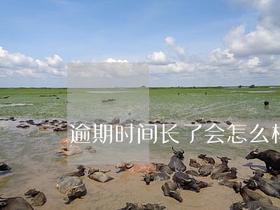 逾期时间长了会怎么样 逾期时间长了会怎么样