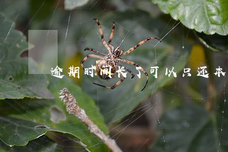 逾期时间长了可以只还本金吗 逾期时间长了可以只还本金吗
