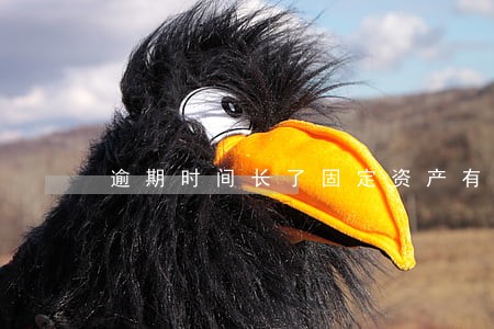 逾期时间长了固定资产有影响吗 逾期时间长了固定资产有影响吗