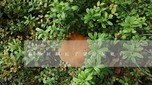 逾期时间长了就是呆账吗