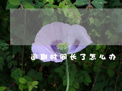 逾期时间长了怎么办 逾期时间长了怎么办