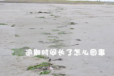 逾期时间长了怎么回事