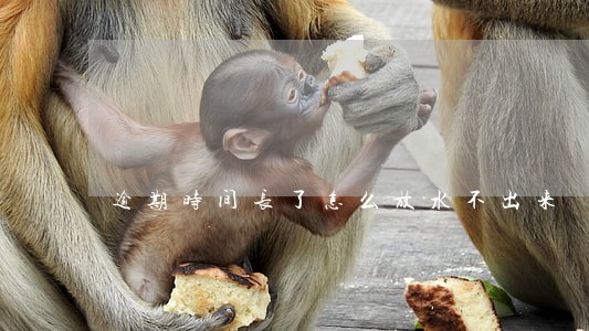 逾期时间长了怎么放水不出来 逾期时间长了怎么放水不出来