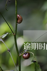 逾期时间长了怎么查账 逾期时间长了怎么查账