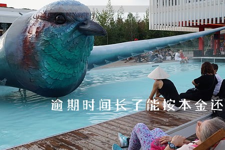 逾期时间长了能按本金还款吗 逾期时间长了能按本金还款吗