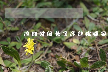 逾期时间长了还能按揭买房吗
