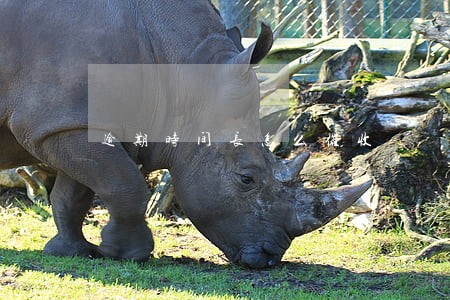 逾期时间长怎么催收 逾期时间长怎么催收