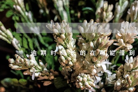 逾期时间长的在哪能借到500 逾期时间长的在哪能借到500