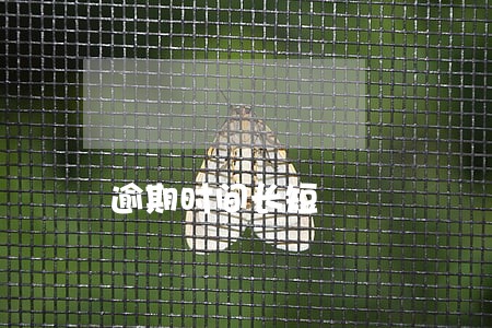 逾期时间长短