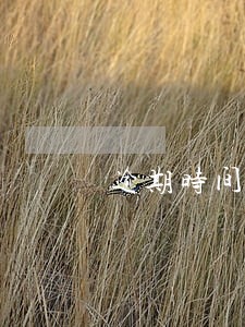 逾期时间长短有区别吗 逾期时间长短有区别吗