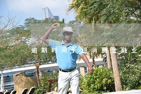 逾期时间长短消费金融业务
