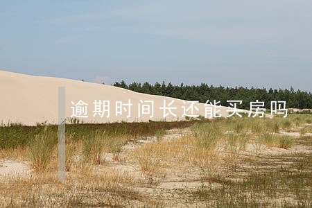 逾期时间长还能买房吗