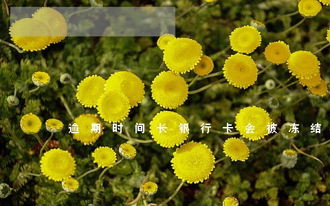 逾期时间长银行卡会被冻结吗