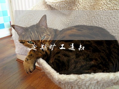 逾期旷工通知 逾期旷工通知