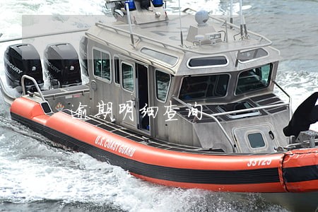 逾期明细查询