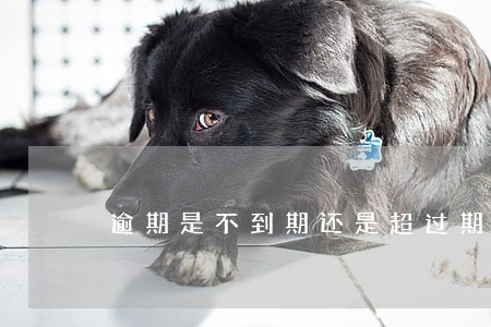 逾期是不到期还是超过期限 逾期是不到期还是超过期限