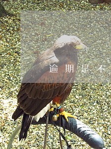 逾期是不是不能用银行卡了