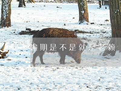 逾期是不是就是老赖 逾期是不是就是老赖