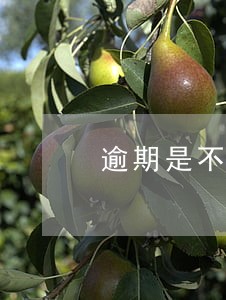 逾期是不是无法关闭花呗 逾期是不是无法关闭花呗