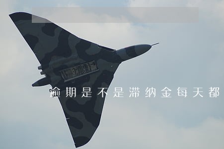 逾期是不是滞纳金每天都在涨 逾期是不是滞纳金每天都在涨