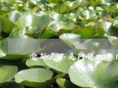逾期是不是网贷也申请不了 逾期是不是网贷也申请不了