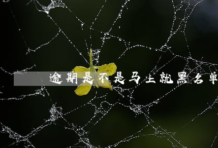 逾期是不是马上就黑名单了 逾期是不是马上就黑名单了