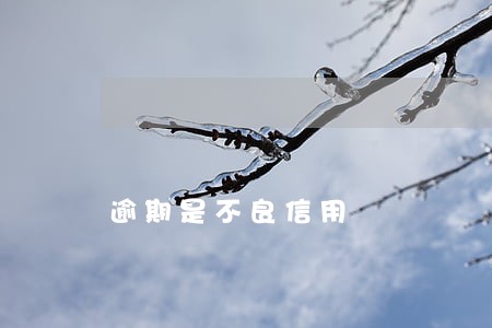 逾期是不良信用 逾期是不良信用