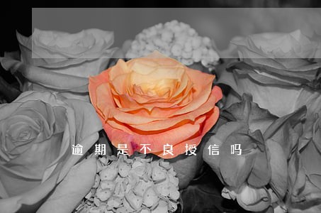 逾期是不良授信吗