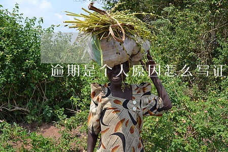 逾期是个人原因怎么写证明