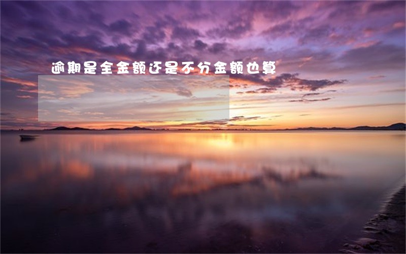逾期是全金额还是不分金额也算 逾期是全金额还是不分金额也算