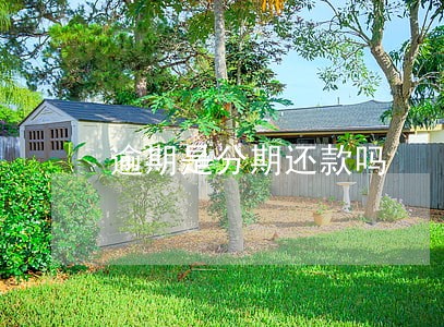 逾期是分期还款吗 逾期是分期还款吗
