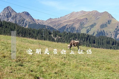 逾期是否会上征信 逾期是否会上征信