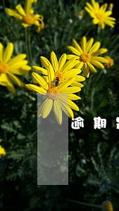 逾期是否会影响贷款买房 逾期是否会影响贷款买房
