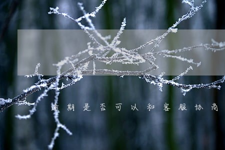 逾期是否可以和客服协商