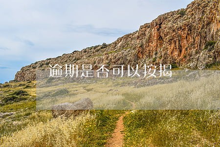 逾期是否可以按揭