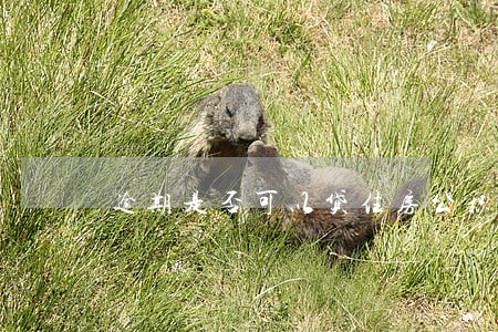逾期是否可以贷住房公积金 逾期是否可以贷住房公积金