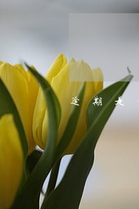 逾期是否影响房贷利率 逾期是否影响房贷利率